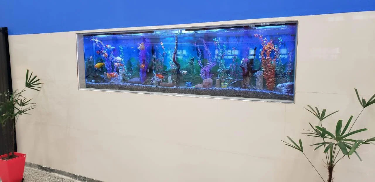 Pecera del Parroquial San Justo