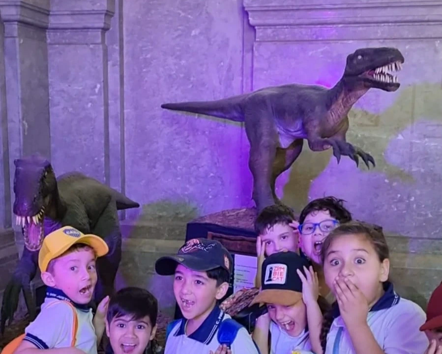Visita al Museo